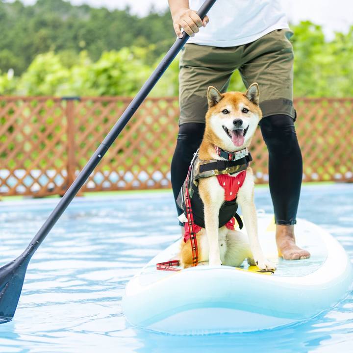 93d2b1c9 bdcd 47b6 8416 33df2099ca37 1696564708565