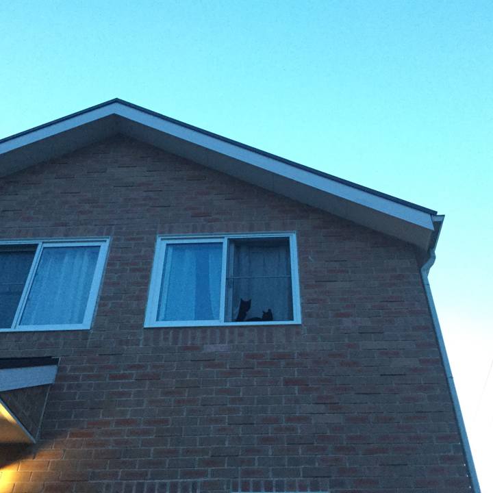 93d31cac c668 49b6 aaaa ba91a1c1631f 1525175774413