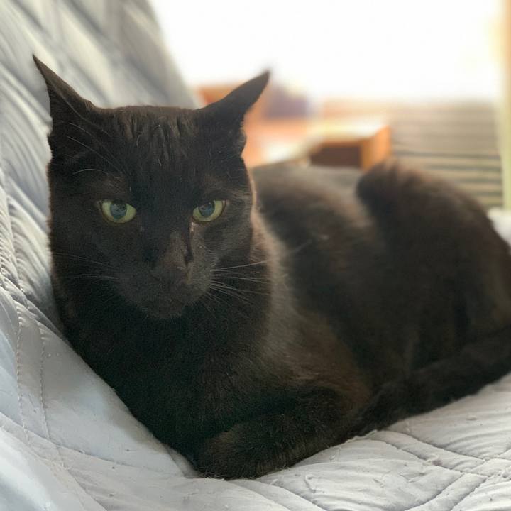 93d3567c 97ab 46fd b5b7 169bfc44c0d6 1596241848358