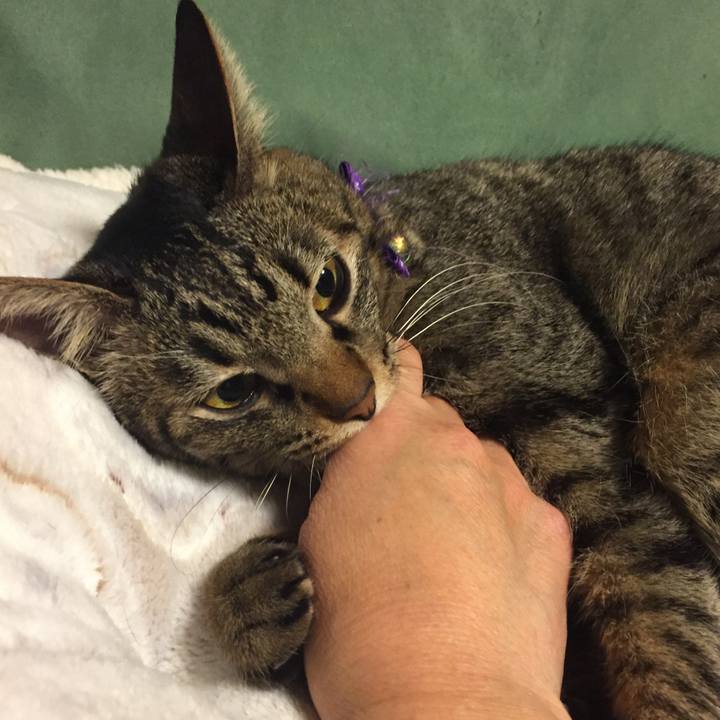 93d38e9f 9332 41ea 8cac d804e35c4f1b 1545398007078