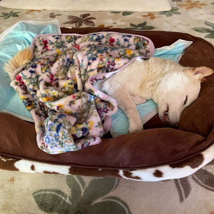 93d399c5 6fa4 441a b050 12ec45de0797 1668748037309