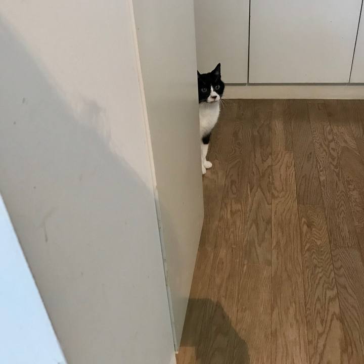 93d3a865 40c8 44e4 98b8 32e9428bc017 1557362979546