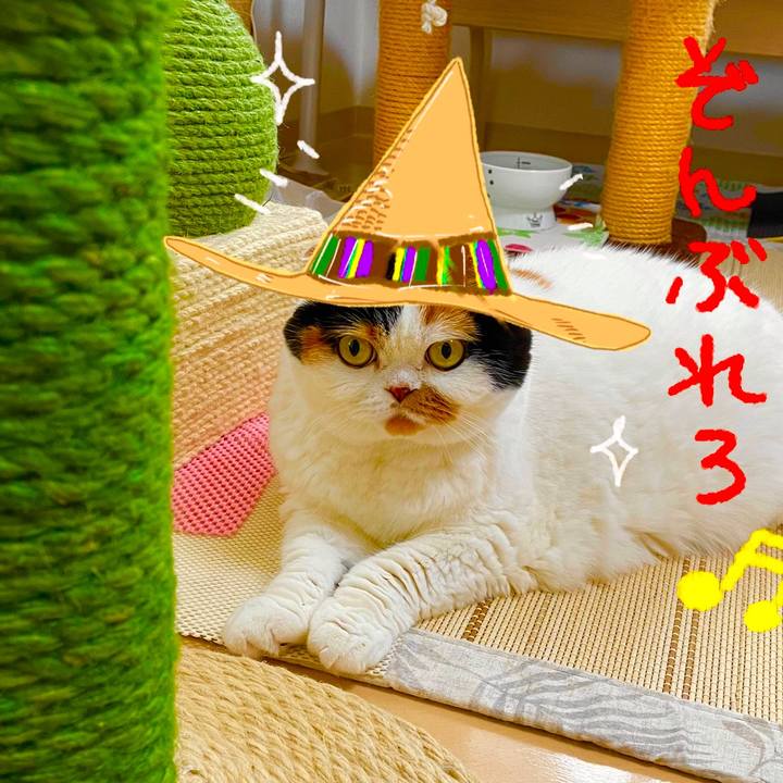 93d3b58f df00 4be6 a117 f22b3a4bad4a 1655420116248