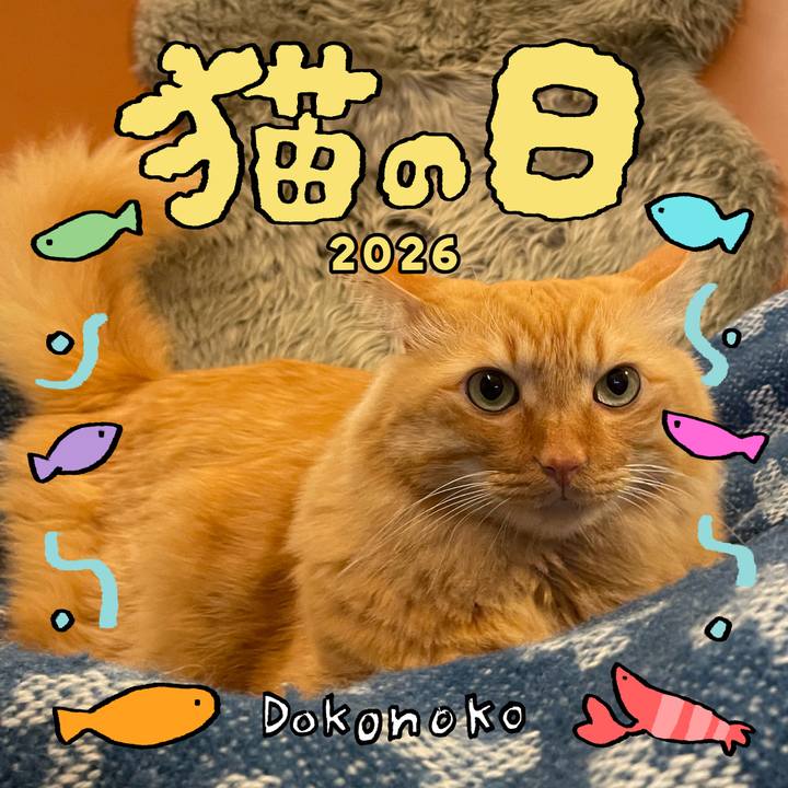 93d3e202 56f8 480e b79a 82e738bb7509 1771716139792