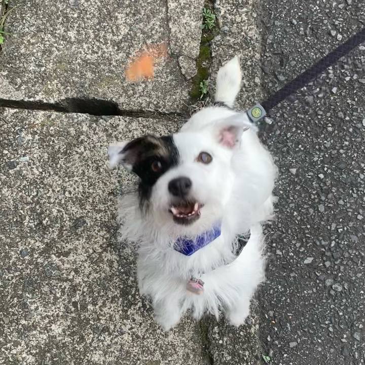 93d40028 b11c 4b32 94c9 c49838648bc0 1661123970230