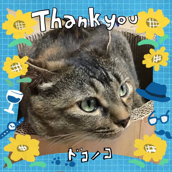 93d43ded 7de2 49d9 8d48 9eb8b9ca06c8 1717832987267