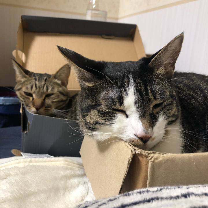 93d46341 a26d 47c1 8c9c 1860c9692307 1549136006559