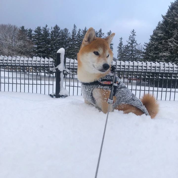 93d47310 ce52 4940 a41a 3c9399c9b7f8 1548901269307