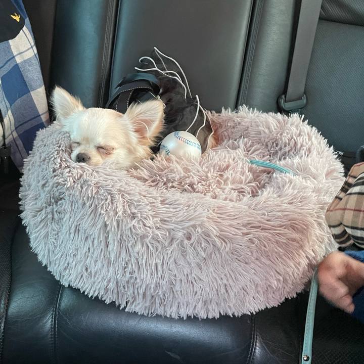 93d49522 c773 453d b18d 9ade3a384645 1669985426021