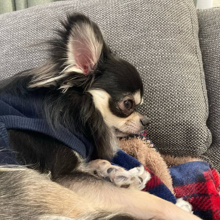 93d4dc49 96fe 4b30 ac6d d393d602a538 1611375759938