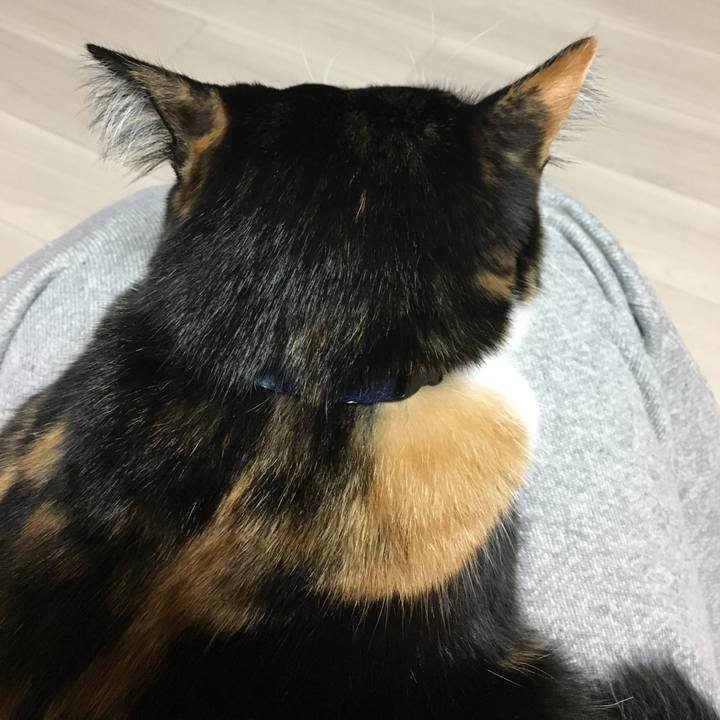 93d4e169 89a3 4ede bbee bd287e0b4c09 1511261970970