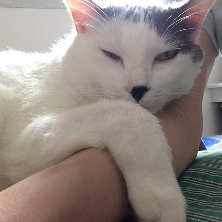 93d509e8 88eb 490f b256 d61202647881 1512233867775