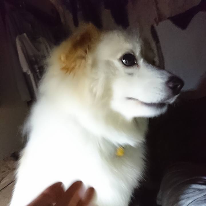 93d53b70 c658 4e49 b20d 9aedbd13c385 1526579780233