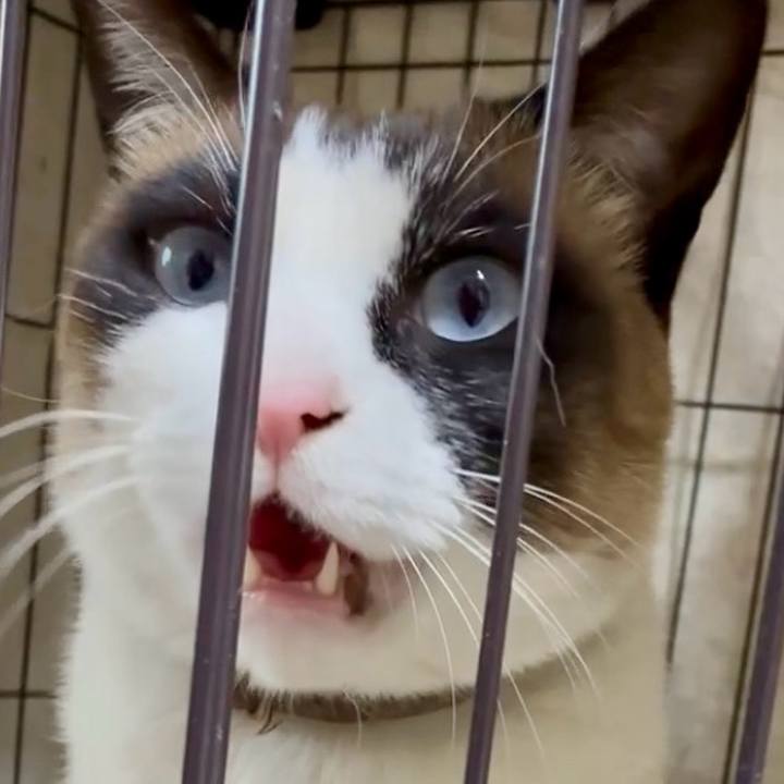 93d56a30 39f9 40a9 b189 e42c64407a23 1773751127741