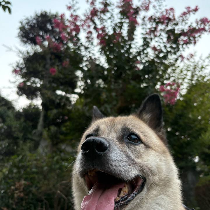 93d576d6 7ef9 4132 82a6 6d2e8ec07678 1755691984465