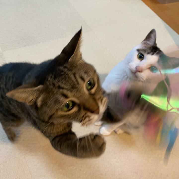 93d58998 cba3 406f a91b 9e78d8217f24 1773812409360