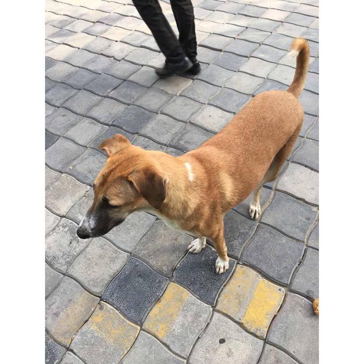 93d5a309 9313 4df2 8253 d954fbd96fbf 1531263300307