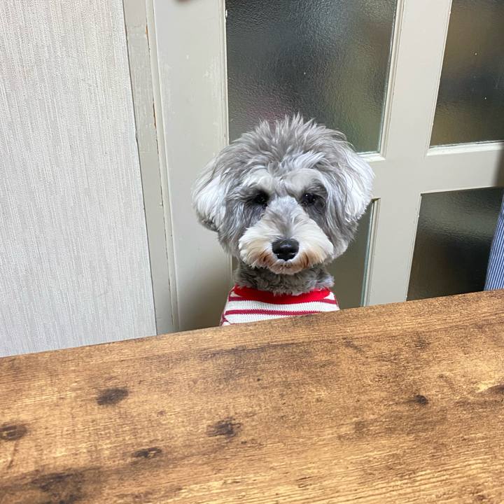 93d60322 57ac 4acc 8b6d ac59698019a3 1610718290872