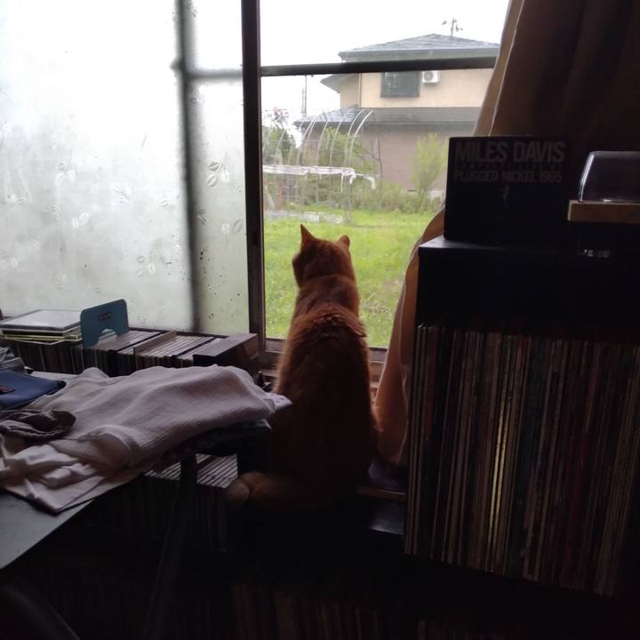 93d60c23 d9f0 41e0 97fc 7a253d5d4b78 1721167646796