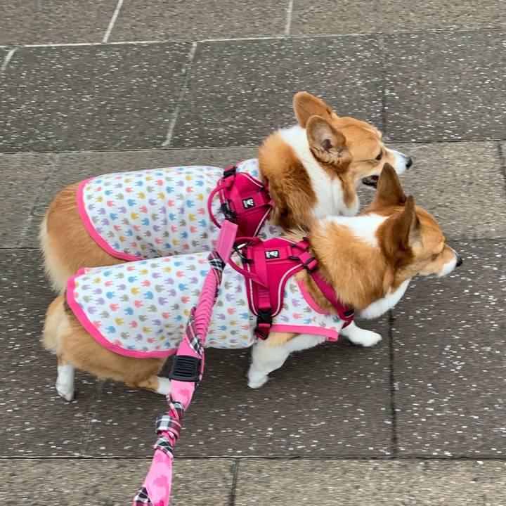 93d62228 95e3 4577 b0f6 37b5c79809a3 1611805050426