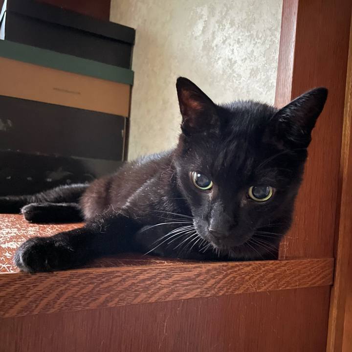 93d624c7 7d4a 48d0 ab2a 7760baf4cfc1 1631583814531