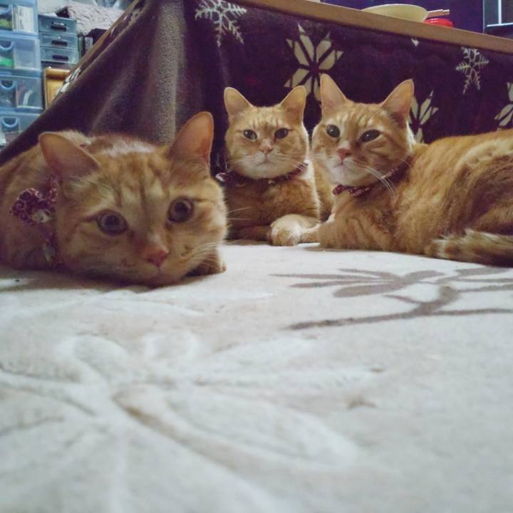 93d63758 89ba 46b8 b1b4 8a74fea020cd 1648557937458