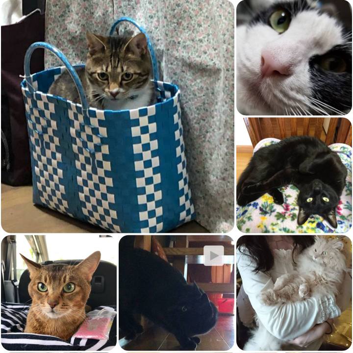 93d6413f e037 44ba a08f 2c2f83cb1d12 1557541930876