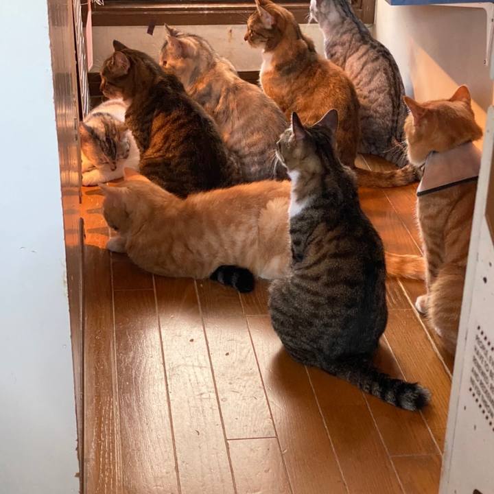 93d64966 da6a 4c73 b77c 9b1f4a1363f7 1628741356474