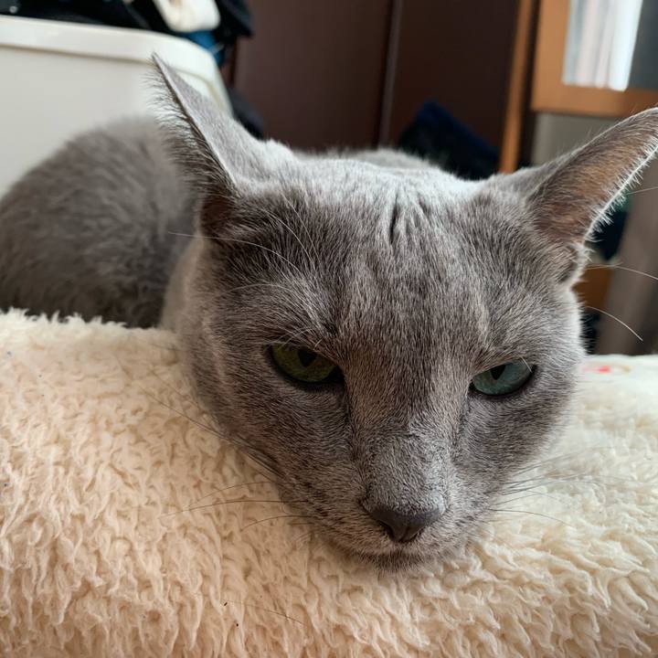 93d65c20 fd12 4ea5 a92d f49bfb371588 1664780924125