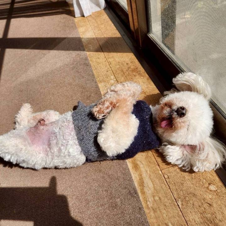 93d66f51 2c1b 4243 a3ec 45c9691662e7 1773638490386