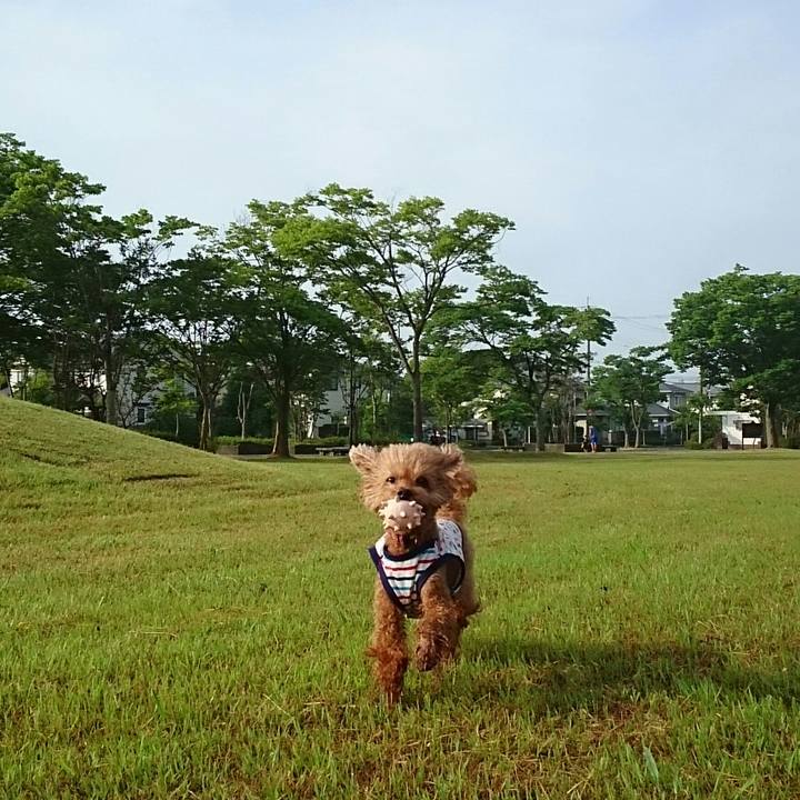 93d68589 1f33 4fce a553 555131b63628 1532127073469