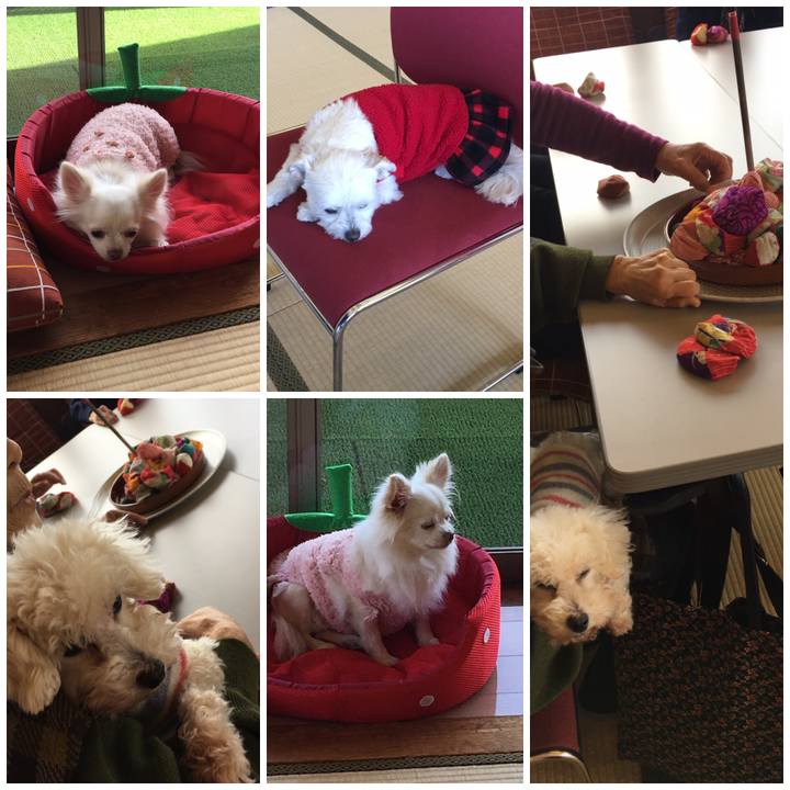 93d6b1cc 0678 4d0b 9c7e 7a17ef65fbc5 1549009324197