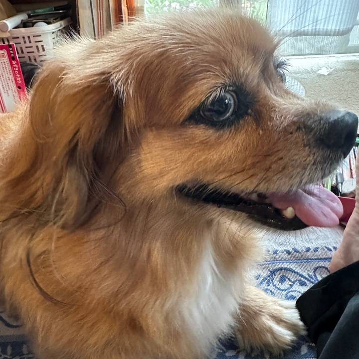 93d74fdb 1b0b 41cb 8b76 4587c6dc8ae6 1722980957454