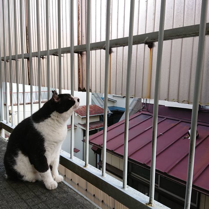 93d793ee 8ec6 42b3 ad8b f43345c3e3c9 1661205264231