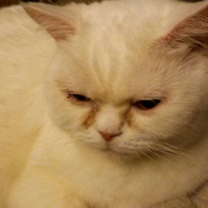 93d7f215 334b 46c2 9aef 23e15879862e 1553431402582