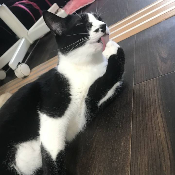 93d8040c bd66 4a9e 9ef1 1fd5c485ff02 1512442683158