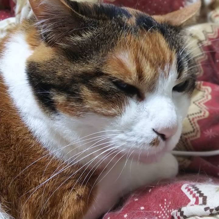 93d81ca3 1ac1 47e8 8c9b cebb83033f56 1568756611867