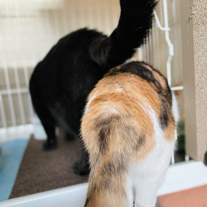 93d82f7b 6085 4460 b2a4 cdd3d50cdcb4 1637546161970