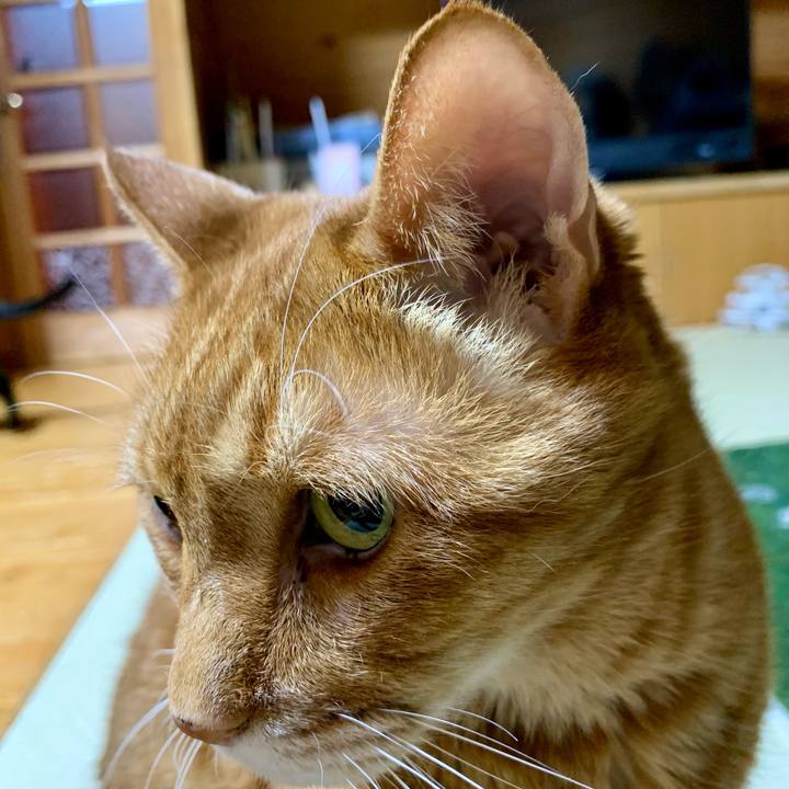 93d84181 0642 4f7b 8c7e 6f12f841325e 1681566398575