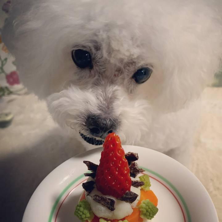 93d85dbf 26e2 4ebf a6ec a3d78acac925 1707035605098