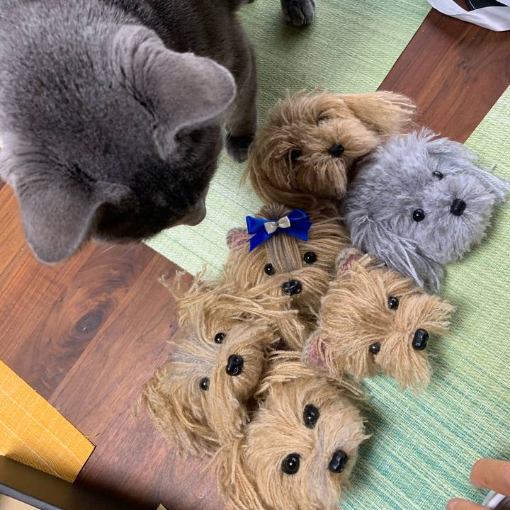 93d8774e fff2 4b74 9861 939dcce27438 1679377727907