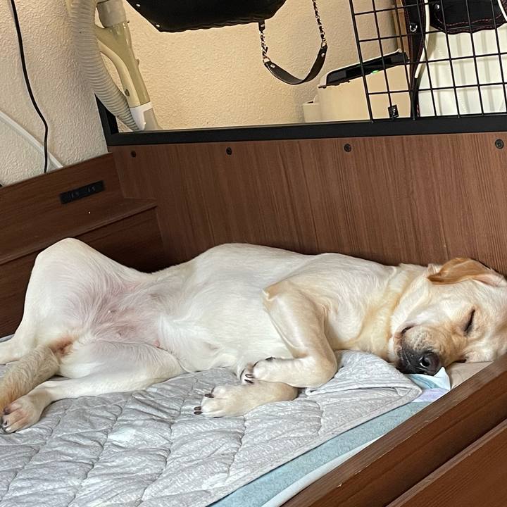 93d8a7a0 ce22 4ae1 96f1 8202f5bc5d38 1654755324382