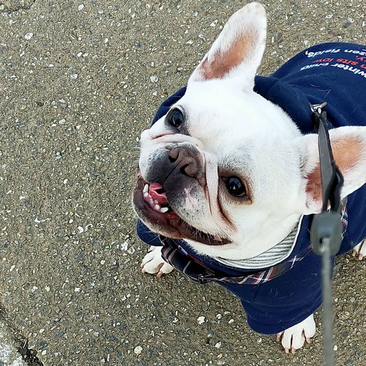 93d8e70f 96c1 47ce 98f2 07c8fa660d79 1642574988617