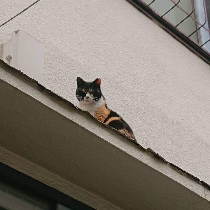 93d961ca b0b8 4458 aeaf 0481e50e5e5d 1587434119844