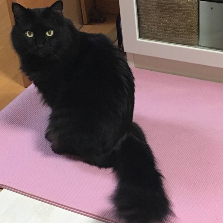 93d99a3b 640d 490f b7de b5f377c19cd3 1528390154633