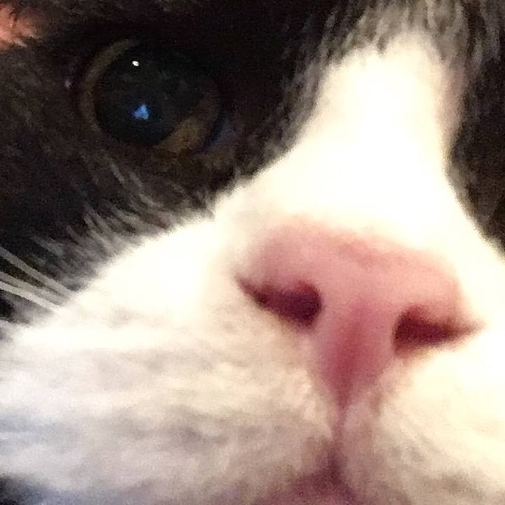 93d9ba16 1872 4c00 8ed5 d7729acda5a2 1568036928767