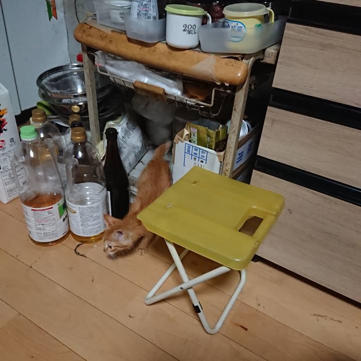 93d9c713 3a11 4c4e a444 cce59c7cfd40 1627780568717