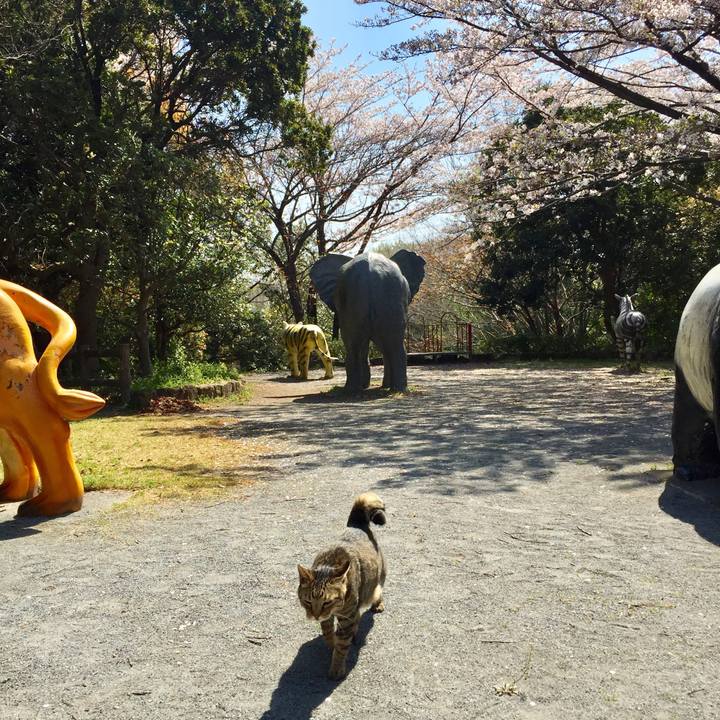 93d9d1e3 9333 4977 a3a3 f317c0ab447c 1586244962210