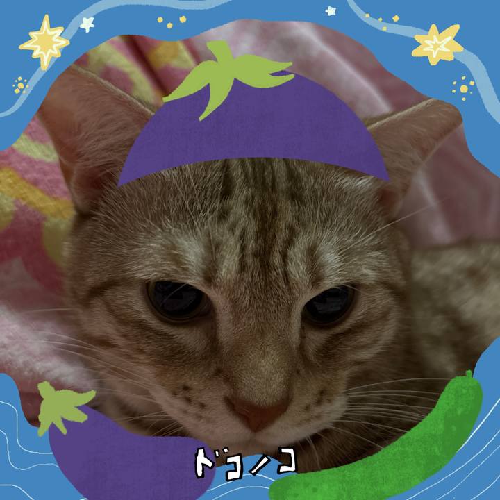 93d9fa2c 9b72 4672 8280 9245794a2729 1755527511751