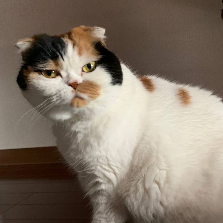 93d9ffa9 2b20 4231 bbe4 ca6d5272e202 1563920284811